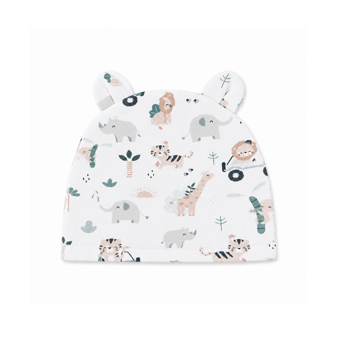 Safari