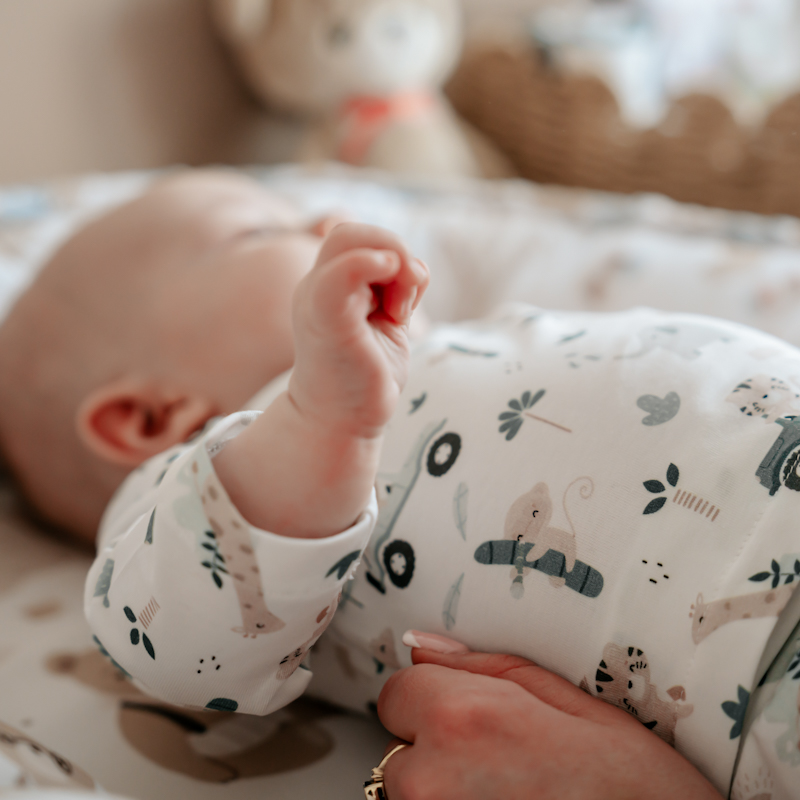 Spodenki niemowlęce legginsy Safari gallery 5