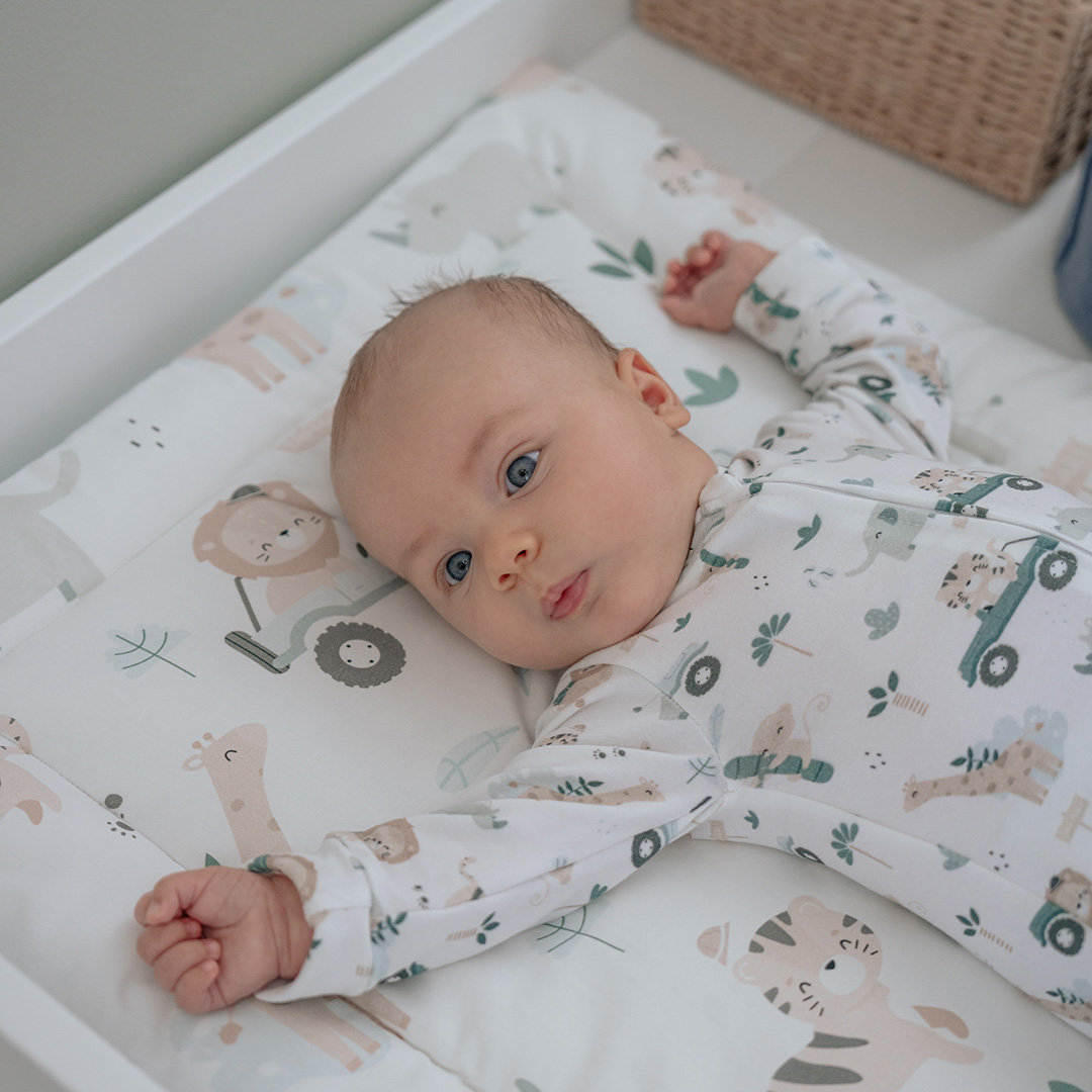 Mata na przewijak Safari gallery 5