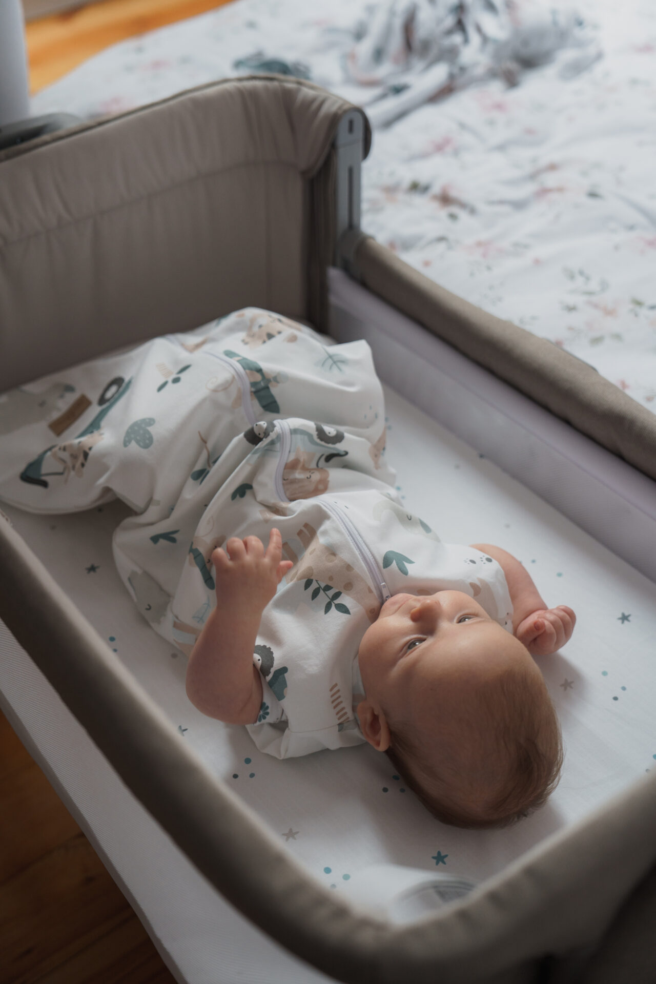 Prześcieradło z gumką do dostawki Zaczarowane Dalie 60x90 cm gallery 3