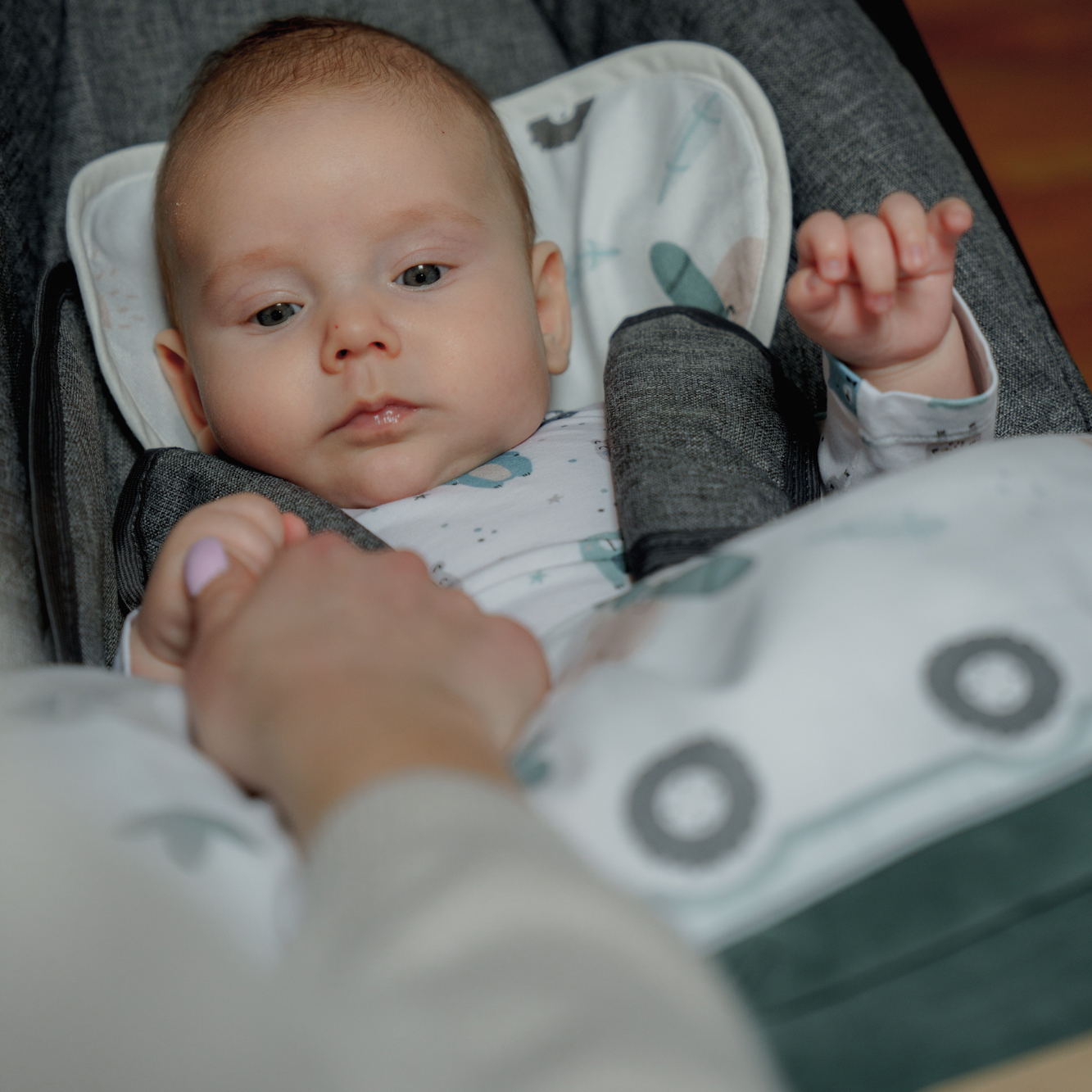 Kocyk do fotelika i wózka/półśpiworek welurowy Safari gallery 6