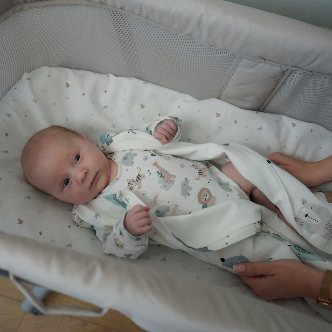 Body niemowlęce z krótkim rękawem Zaczarowane Dalie gallery 2