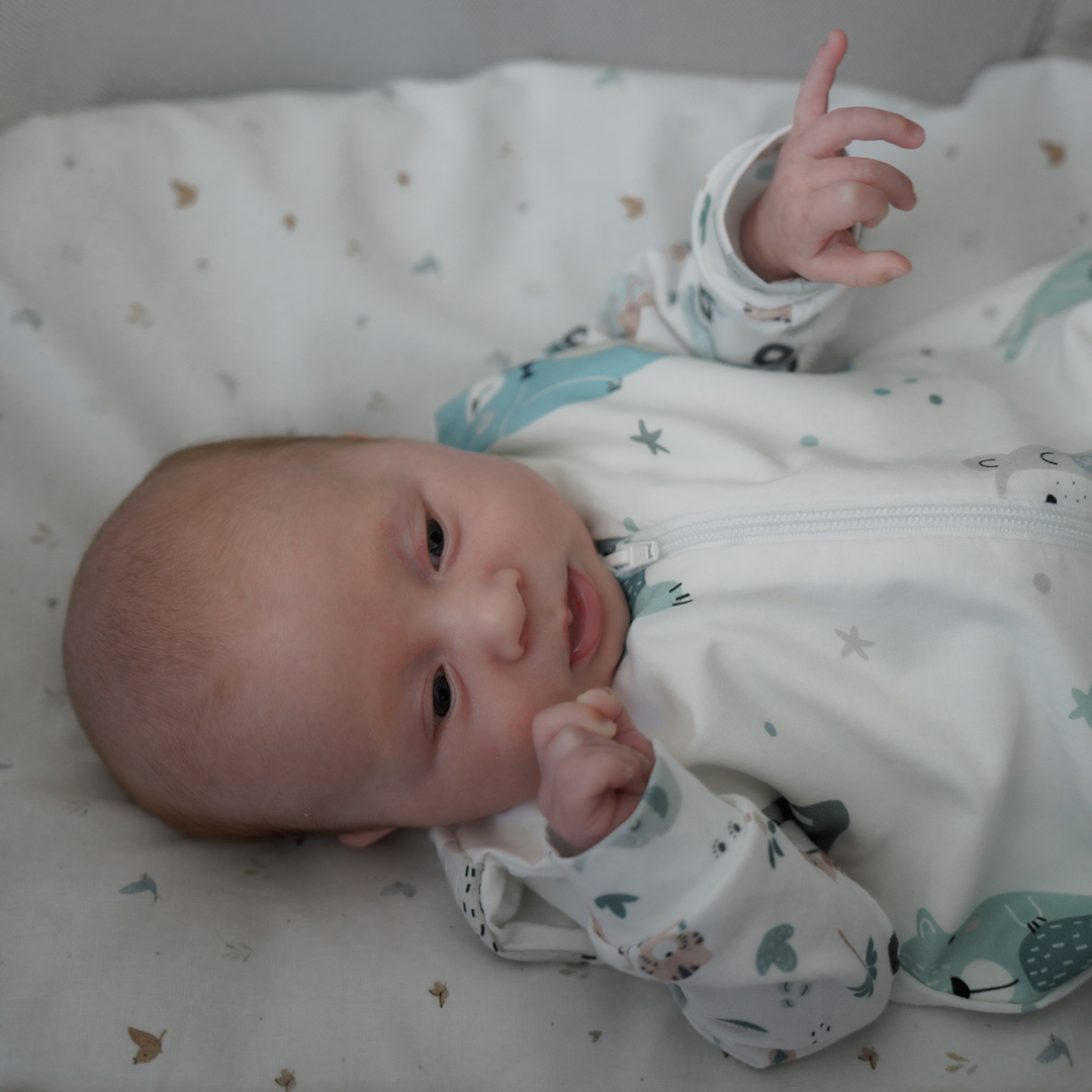 Śpiworek do spania dla noworodka 2.5 TOG Pastelowe Misie 0-2 M gallery 1