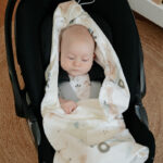 wrap-around-car-seat-year-spiulkolot